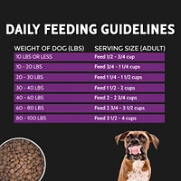 Dry Dog Food – Limited Ingredient Wholesome Grains