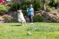 Chuckit! - Dog Toy - Eco Launcher
