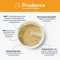 Prudence - Dog Supplement - Ultimate Hip & Joint: High Potency