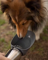 Messy Mutts - Pet Water Bottle - Stainless Steel & Insulated with Blue Flip Bowl