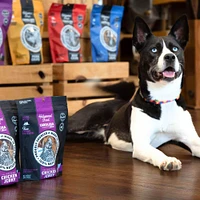 Dog Treat - Single Ingredient, High Protein & Slow Roasted