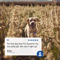 Dry Puppy Food
