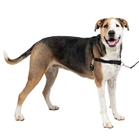 PetSafe - Easy Walk Harness - Black