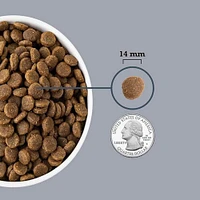 ACANA - High Protein Dry Dog Food - Grain Free Weight Management Support - Light & Fit Recipe - 25 lbs Bag