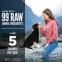 Orijen - Freeze Dried Dog Treat - High Protein Training Reward - Original Recipe