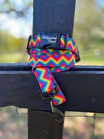 - Dog Leash - Rainbow