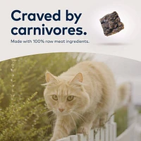 ZIWI Peak - Gently Air Dried Cat Food – Grain Free & High Protein Raw Nutrition