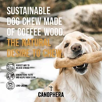 Canophera - Natural Coffee Wood Dog Chew – Long Lasting & Durable – Supports Healthy Chewing & Dental Health