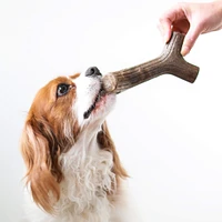 Dog Chew Toy