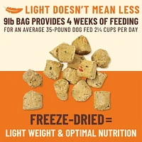 Primal - Kibble in the Raw Dog Food - Premium Freeze Dried Raw Nutrition with Whole Ingredients - Beef Recipe