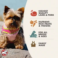 Dry Dog Food