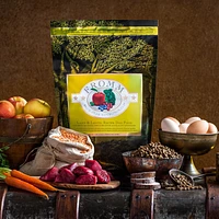 Dry Dog Food