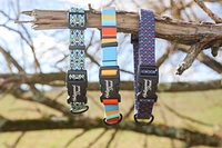 Dog Collar - Arrow Blue