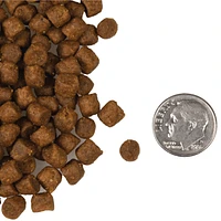 Fromm - Dry Cat Food - Surf & Turf Recipe