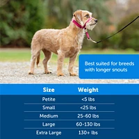 Gentle Leader® No Pull Dog Headcollar – Adjustable