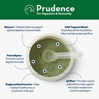 Prudence - Dog Supplement - Absolute Immune Health: High Potency