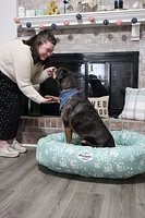 Donut Dog Bed