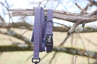 Dog Collar