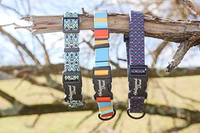 Dog Collar