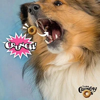 - Crunchy Os® Dog Treats - Low Calorie Crunchy Snack for Training & Fun - Slammon' Smoked Salmon Flavor