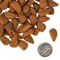 Fromm - Dry Dog Food - Chicken Au Frommage® Recipe