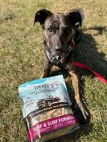 Tucker's - Freeze Dried Dog Food - Turf & Surf