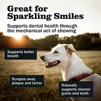 - Dog Chew - Bully Sticks