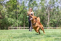 Chuckit! - Dog Toy - Eco Fetch Ball