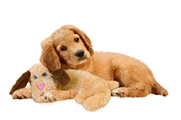 Spot - Plush Dog Toy - Warm Hug Pal