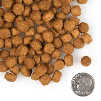 Fromm - Large Breed Puppy Dry Dog Food - Supports Growth,  Digestion & Lean Muscle - 5 lbs Bag