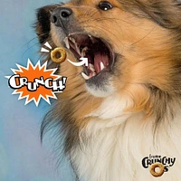 - Crunchy Os® Dog Treats - Low Calorie Crunchy Snack for Training & Fun - Peanut Butter Jammers Flavor