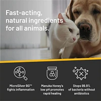 Silver Honey - Rapid Ear Care Vet Strength Wipes – Antibacterial Gentle Ear Cleaning for Dogs & Cats