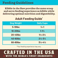 Primal - Kibble in the Raw Dog Food - Premium Freeze Dried Raw Nutrition with Whole Ingredients - Fish & Pork Recipe