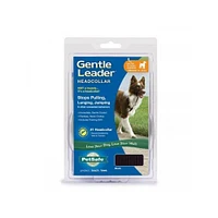 PetSafe - Gentle Leader® No Pull Dog Headcollar – Adjustable,  Comfortable & Vet Recommended for Better Leash Control