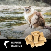 Orijen - Freeze Dried Cat Treat - High Protein Training Reward - Six Fish Recipe