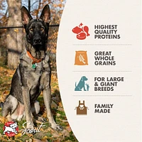 Fromm - Dry Dog Food - Large Breed Adult - Chicken Recipe