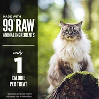 Orijen - Freeze Dried Cat Treat - High Protein Training Reward