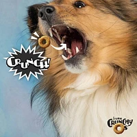 Fromm - Crunchy Os® Dog Treats - Low Calorie Crunchy Snack for Training & Fun - Bacon Blasters Flavor
