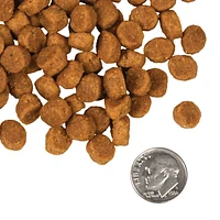 Fromm - Dry Dog Food - Pork & Peas Recipe