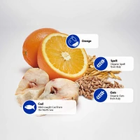 Farmina - Dry Dog Food - Cod,  Spelt,  & Oats Mini Adult