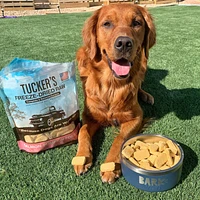 Tucker's - Freeze Dried Dog Food - Salmon & Pumpkin