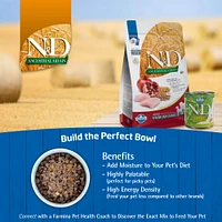 Dry Puppy Food