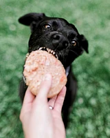 Tucker's - Frozen Dog Food - Pork,  Lamb,  & Pumpkin