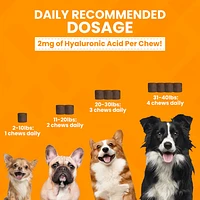 Nootie - Small Dog Chew - Hip & Joint