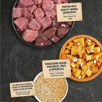 ACANA - Dry Dog Food - Protein Rich with Limited Ingredients - Lamb & Pumpkin  Recipe