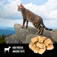 Orijen - Freeze Dried Cat Treat - High Protein Training Reward
