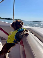Surf N Turf Dog Life Jacket - High Buoyancy, Adjustable & Reflective with Dual Handles