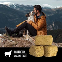 Orijen - Freeze Dried Dog Treat - High Protein Training Reward - Grass Fed Lamb Recipe