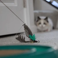 Coastal - Cat Toy