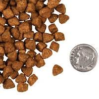 Fromm - Dry Cat Food - Hasen Duckenpfeffer® Recipe
